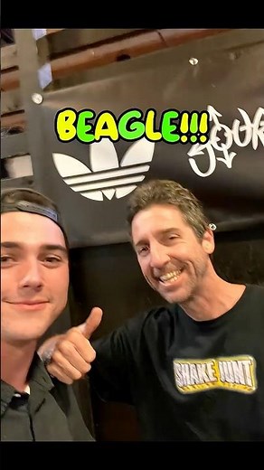 I lost my board :( but I met beagle :)#skateboarding #baker