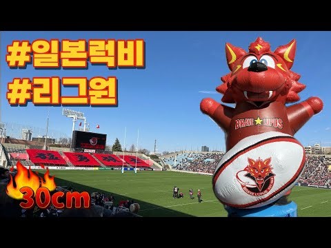 【일본 럭비🏈】 지치부노미야 럭비장 | 2024.02.24 | JAPAN RUGBY LEAGUE ONE | 메이지진구 | 일본 럭비의 성지 | 도시바 브레이브 루퍼스 도쿄🐺