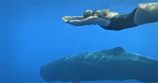 Talking to animals – science is closer than you think