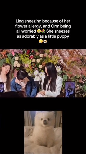 Ling sneezing because of her flower allergy | PRIDE GOAL