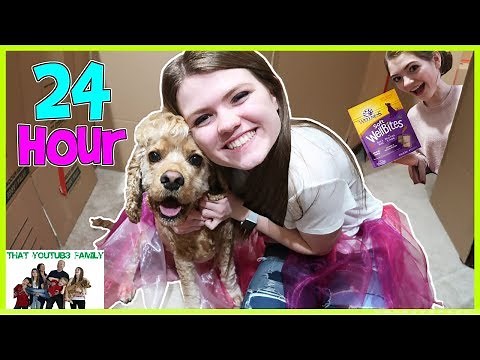 24 Hours In Box Fort Dog Mansion🐶🏠 / That YouTub3 Family