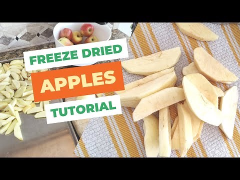 How to Freeze Dry Apples - Step by Step