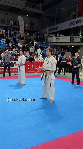 Kyokushin Karate: Carpathia Cup 2026 Highlights