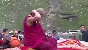 121K views · 8.6K reactions | We are so happy to see this summer again the most amazing vitality and joy of HH Dalai Lama. It’s the sign of the great accomplishment of inner peace and harmony. | Tibet Justice + | Facebook