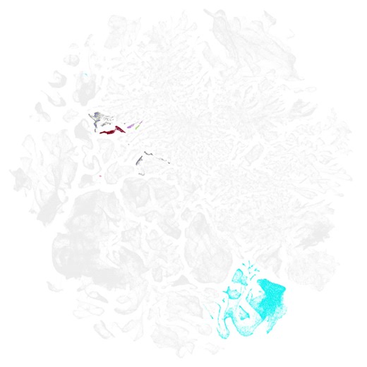 Introducing the Allen Brain Cell (ABC) Atlas [beta] representing preliminary data including ~5,200 transcriptomic-defined cell types across the whole mouse brain. This new open science resource allows unprecedented insights into the enormous diversity of cell types in the brain and where they are. In collaboration with National Institutes of Health (NIH) and Amazon Web Services, the Allen Brain Cell Atlas will join other atlases on the Brain Knowledge Platform – soon to be the largest open-sourc