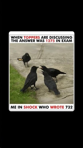 When Toppers Discuss the Answer After Exam 😂