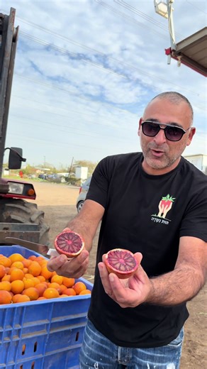חוות דובדבנים בתכנון פרסום ברשתות החברתיות