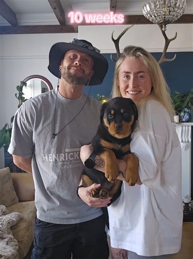 Growing Up Rottweiler: A Year in Adorable Transformation