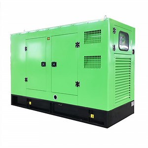 [Hot Item] 100kw 100kVA Silent LPG Fuel Gas Generator Price