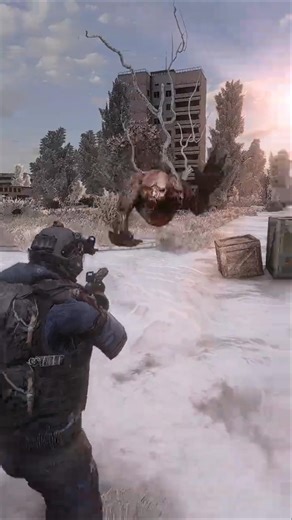 Zone is Never Fair Remember That in Stalker Gamma #shorts #stalkergamma #gaming #stalker2