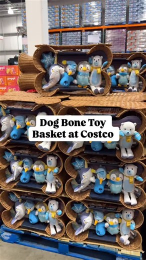 New Dog bone basket at Costco 😍 I’m loving this set!! And it comes with 5 adorable pet plush toys!! This is a perfect gift for pet lovers!! Send this to someone that would love this and follow for more new Costco finds #costco #costconew #costconewdeals #costcofinds #pets #dogtoys #dog | Costconewdeals