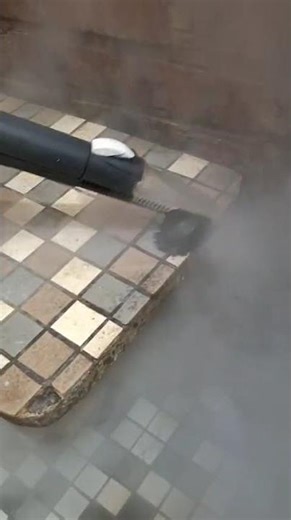 Steam vs Mildew: Shower Deep Clean Transformation video 1