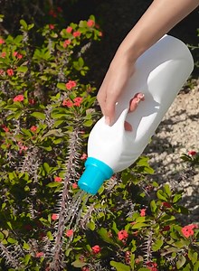 20K views · 69 reactions | Reuse empty plastic bottles to make these home essentials! | 5-Minute Recycle | Facebook