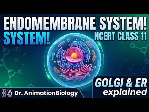 Endomembrane System & Golgi Apparatus Class 11 Biology | NCERT Line by Line 3D Animation #neet2027
