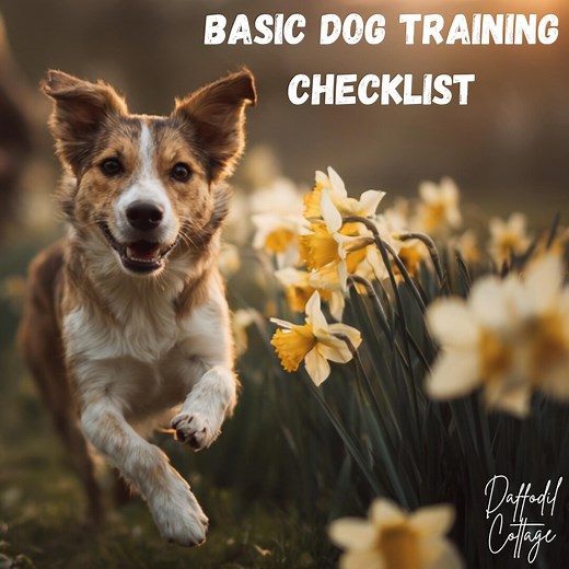 Dog Training Checklist   How-to Guide: Step-by-step Obedience (printable PDF Digital Download) - Etsy