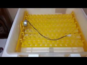 Incubator BK48 55 und Baugleich