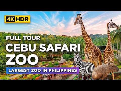Full Tour of CEBU SAFARI AND ADVENTURE PARK | The Largest ZOO in The Philippines! | CARMEN CEBU