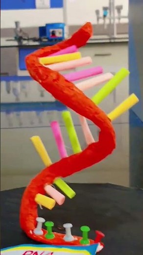 Structure of RNA#biochemistry #project #structure #bpharma #pharmacy #rna #3d #3dmodel