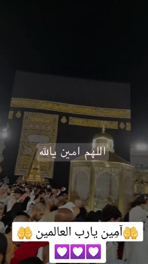 amr Elsify على TikTok