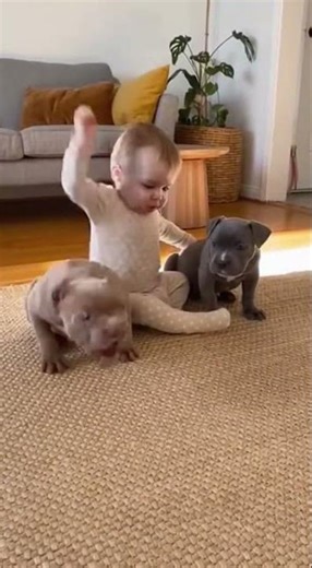 😱 Baby FREEZES Mid-Hit 🐕#pets #funny #cat #dog #animals
