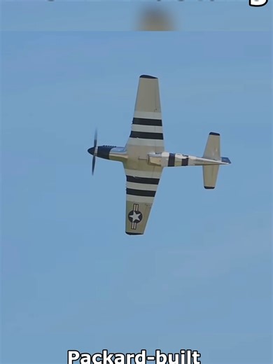 P-51 D Mustang Engine Sound Experience