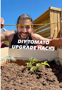 Tomato Upgrade Hacks for Bigger, Healthier Plants