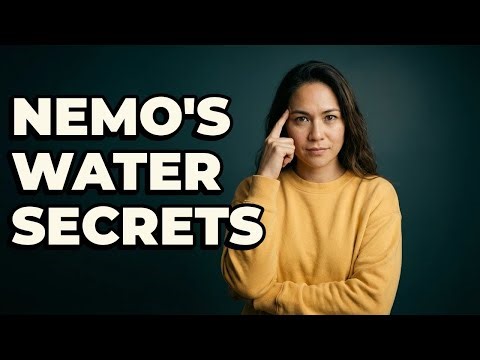 What Water Simulation Techniques Did Finding Nemo Use?