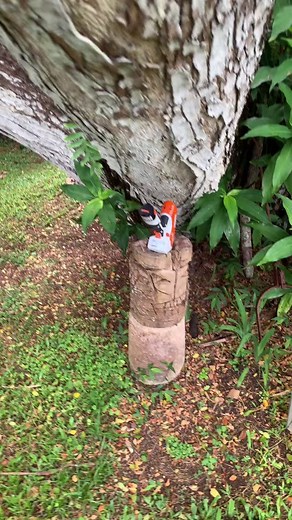 Windward shoe Repair (@windward_shoe_repair)’s videos with original sound - Windward shoe Repair