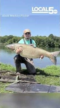 Record-breaking carp caught in Iowa