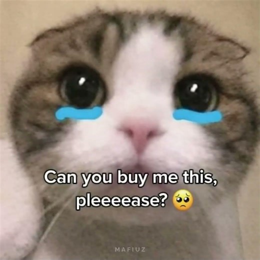 Do you buy me? 🥺 #jesus #toys #bible