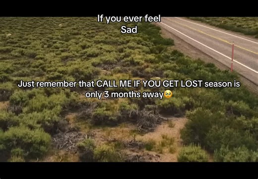 CMIYGL #xyzbca #fun #tylerthecreator #summer #cmiygl