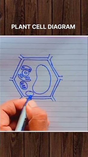 Simple Easy trick make plant cell Diagram class 9th Chapter 5 Cell #trick #science #diagram