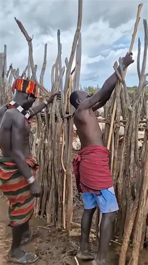 Types of Adivasi houses | Which would you choose?