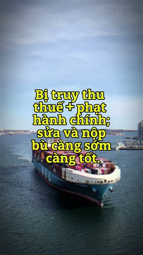 Khai Sai HS Code LÀM SAI THUẾ? Mức Phạt NẶNG Đến Đâu? 🚨 Xem Ngay Để Tránh!