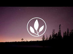 Saib - In your arms