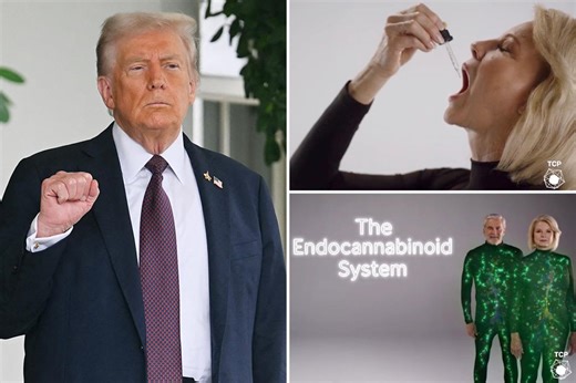 Cannabis stocks surge after Trump posts video touting Medicare coverage for CBD