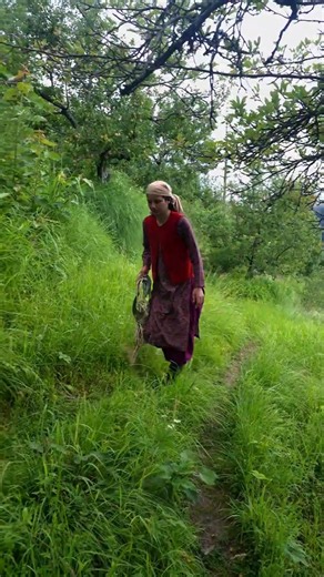 Racing Against the Rain to Cut Grass | Life in the Himalayas 🌿⛰️