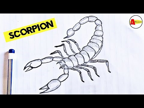 How to Draw a Scorpion Easily and Step by Step