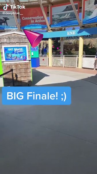 Lion’s Mane Jellyfish: The Largest Jellyfish Species