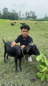 955K views · 31K reactions | Data cable free 藍 | Funny short | Special Totu Vai | Facebook