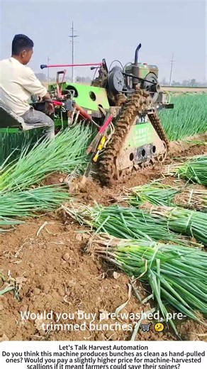 Scallion Harvester – Clean Bunches, Less Manual Labor 🌿🚜