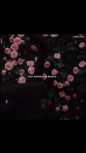 Aankhon Se Batana 👀💗 || Aesthetic Lyrics Status #shorts #songlyrics #lyricsstatus #lyricsvideo #sad