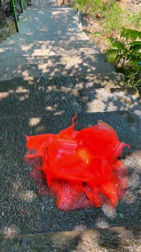 💣 Insane Glass Bottle Break Moments in HD! #shorts #crazy #viral