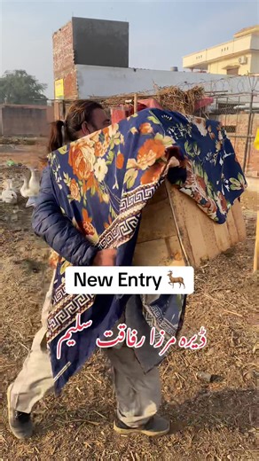 Discover Khadriala: The Cultural Heart of Jhelum