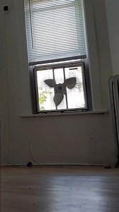 Lakewood Box Fan Model S-23 in the window #boxfan #shorts #fyp