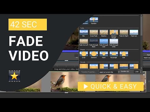 VideoPad Tutorial: How to Fade Video in And out In VideoPad