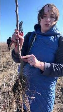 Активно приймаємо замовлення 0964838617 Інна