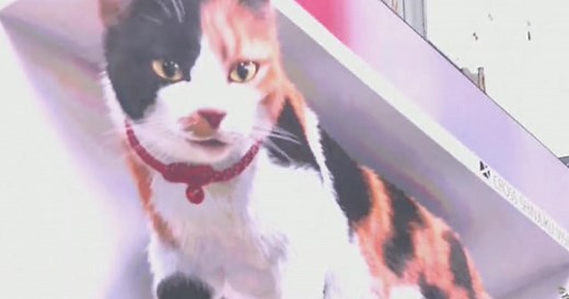 Giant 3D cat prowls over Tokyo