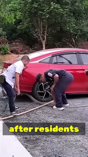 10 Foot King Cobra Found Under Family Car — Dramatic Rescue in Thailand 🐍