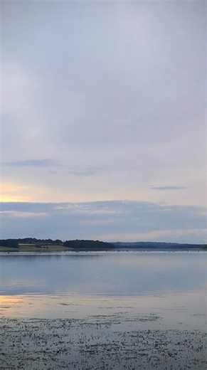 **SOUND ON** An evening arrival of geese tonight. They seem to be enjoying the calm before the storm's 🪿🪿 | Rutland Water